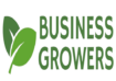 Business Growers-Online Marketing Services Company
